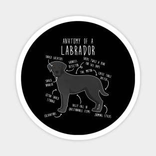 Black Labrador Retriever Dog Anatomy Magnet